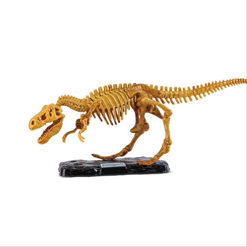 Գիտական հավաքածու - տիռեքս